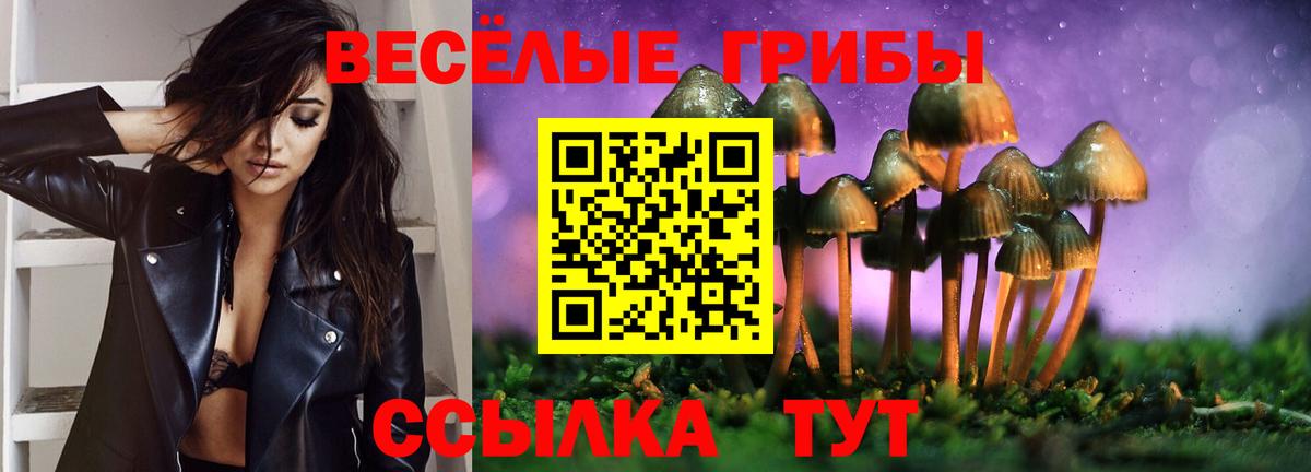 Галлюциногенные грибы GOLDEN TEACHER  Вход с VPN  Медногорск 